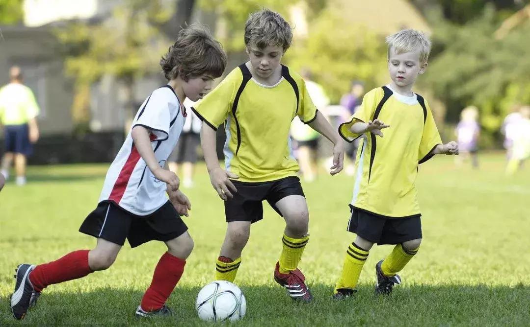 如何改革体育教育,当下体育教育现状