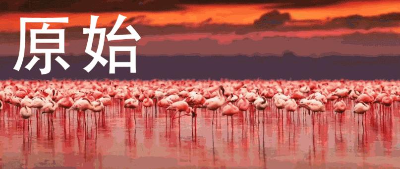 非洲旅游攻略,非洲旅游旅游攻略