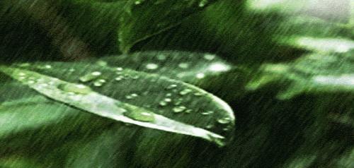 阿克苏农林牧副渔转让,阿克苏农林牧副渔微动力果园转让