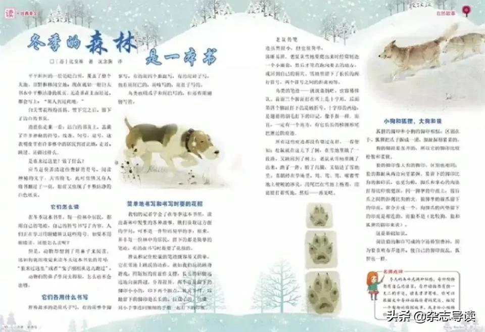 写作必看杂志推荐儿童,能帮助孩子写作提升的文学杂志