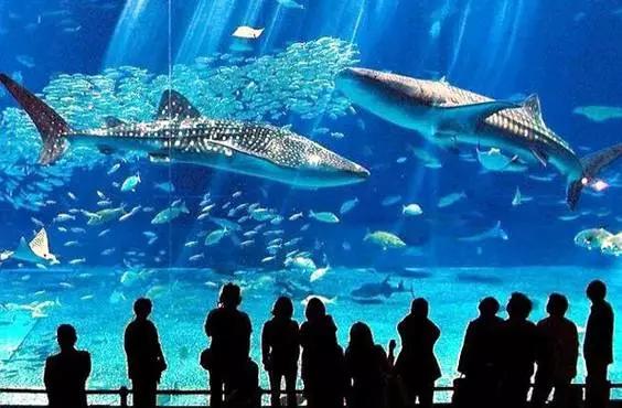 亲子游寒假去哪旅游最好,寒假孩子去哪旅游最好