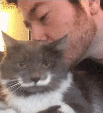 铲屎官请自重图,铲屎官请自重