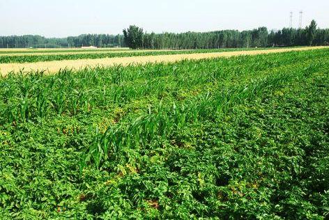 农业合作社会计账务做什么科目,农业合作社会计记账