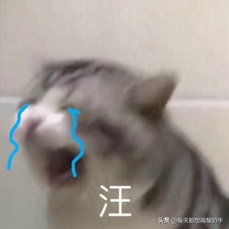 送媳妇什么礼物她会更开心,送女生什么会让女生开心