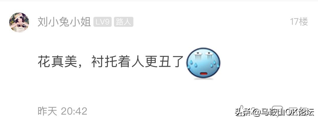 马鞍山滨江公园樱花开了吗,马鞍山雨山樱花