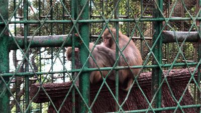 汕尾人眼中的外省人,外来汕尾