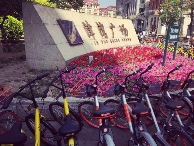 踏上单车，穿梭在天津的大街小巷