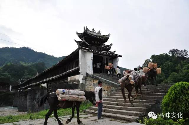 安化县哪里最好,安化有多出名