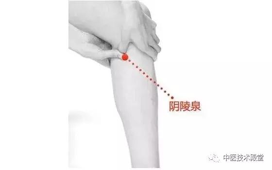 头痛前额太阳穴痛呕吐,前额头痛胃不舒服怎么回事