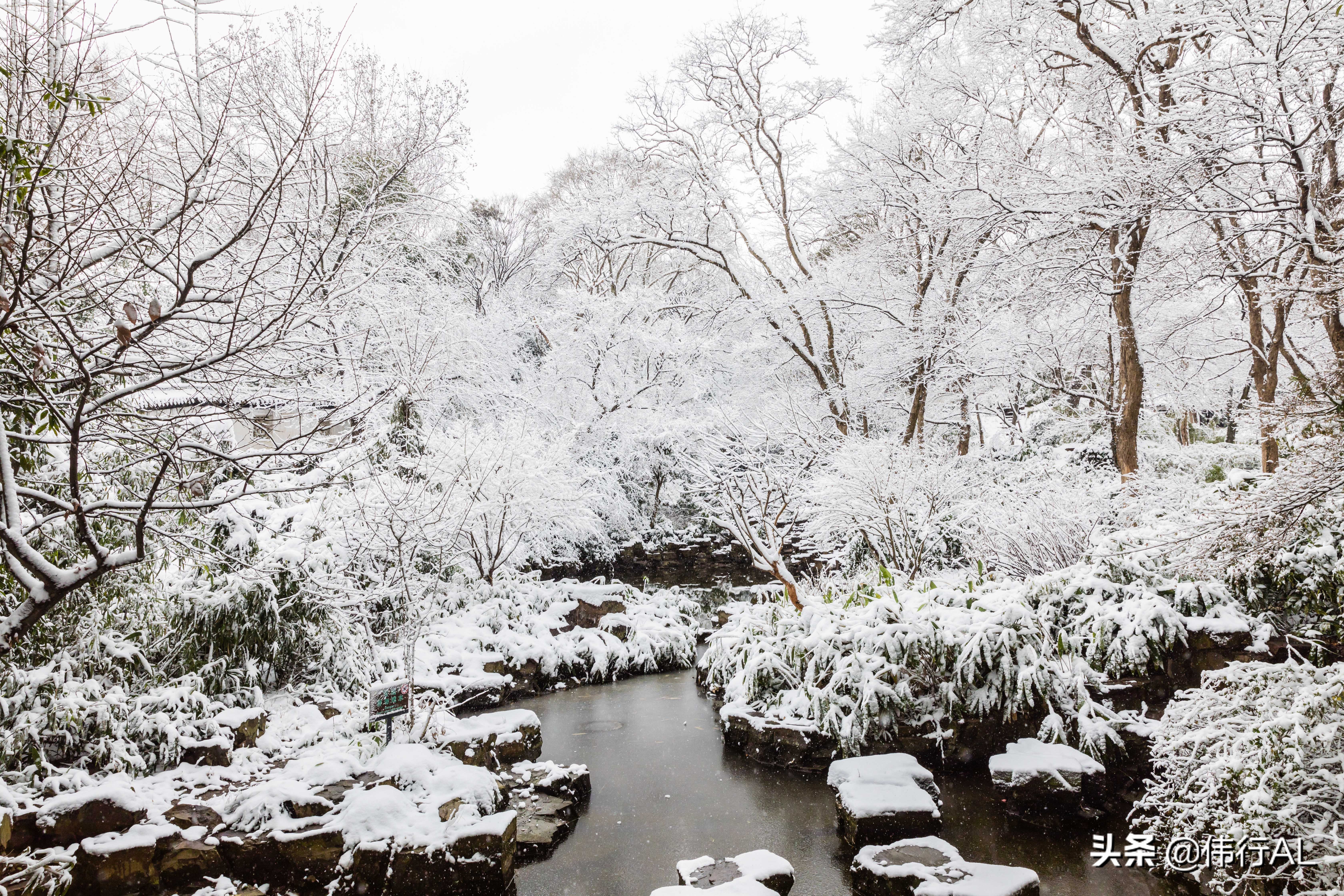 虎丘的十八景,吴中第一名胜虎丘纪念章