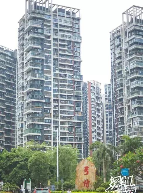 龙华最旺的城中村,深圳龙华城中村排名一览表