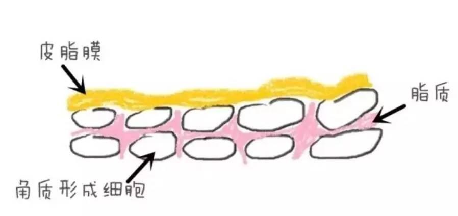 宝宝长湿疹妈妈的痛点,帮我分析一下宝宝长湿疹