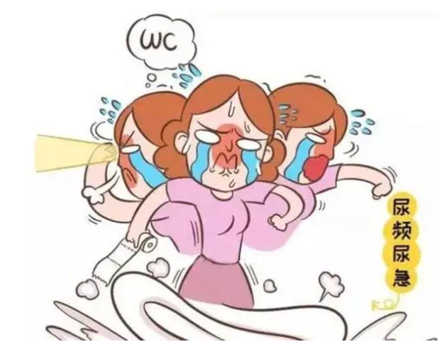 女人会尿急尿频尿不尽吗,为什么女人会尿频尿急尿不尽