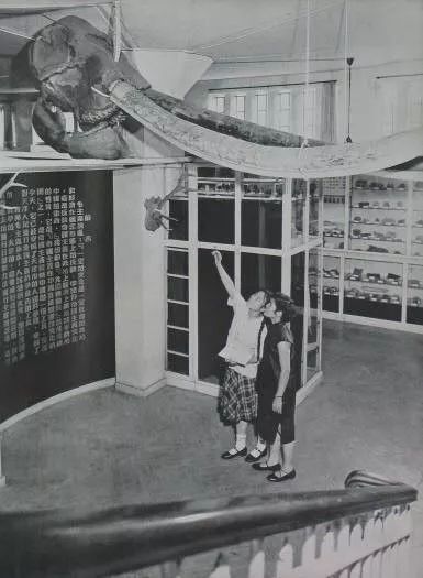 天津卫津路老照片,1998年天津卫津路街景