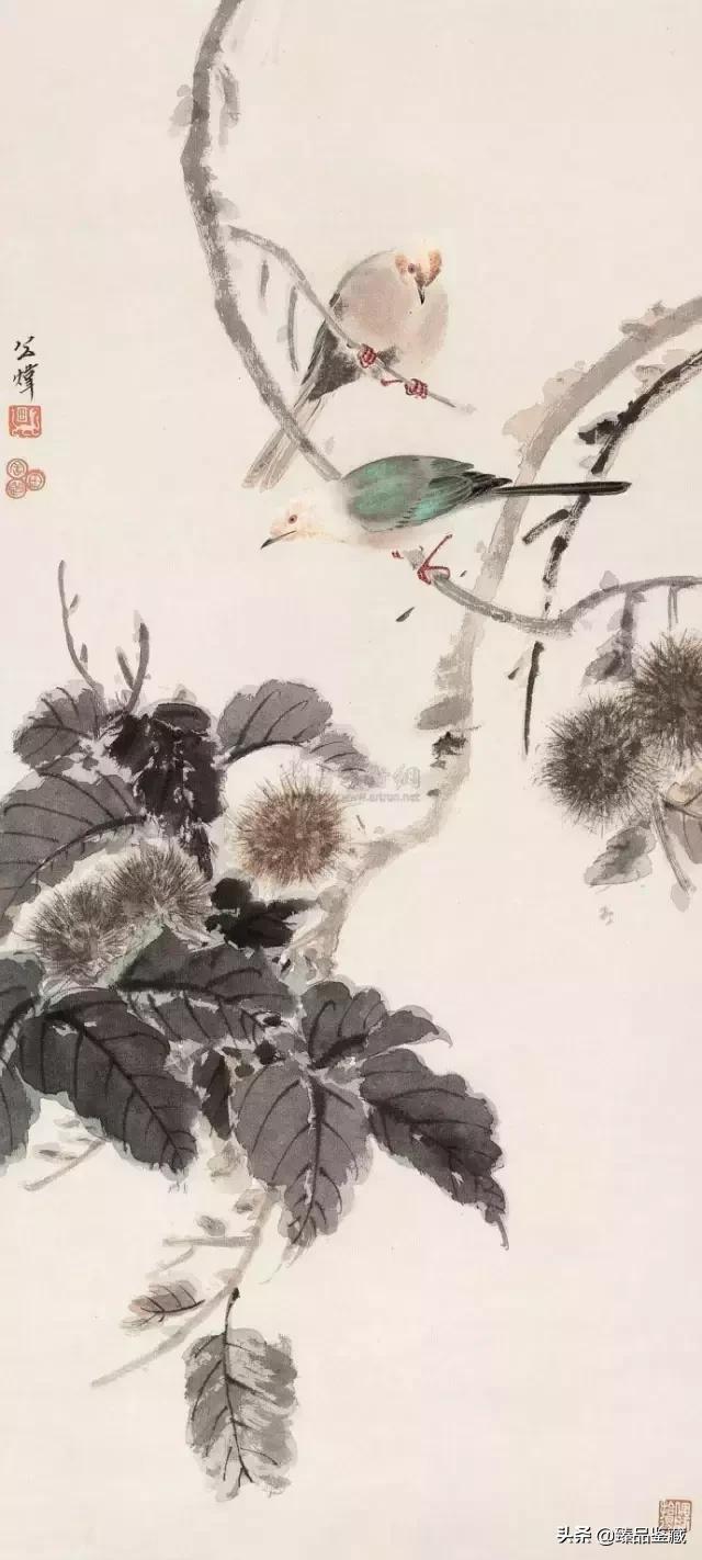 工笔大师田世光,工笔画大师田世光画孔雀好美
