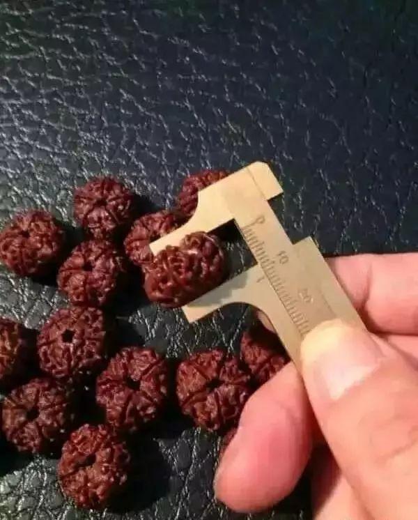 夹缝中求生存且行且珍惜,夹缝中求生存在逆境中求发展