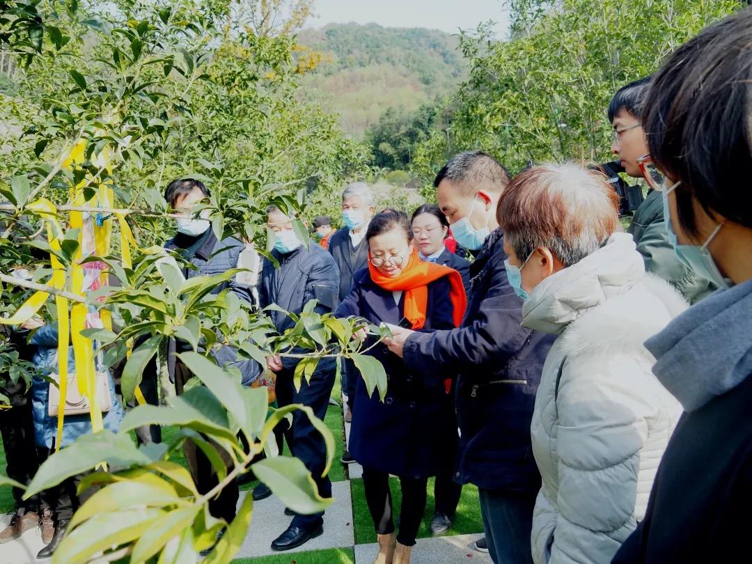 同泰第四届集体树葬圆满举行，21位树葬人士回归自然