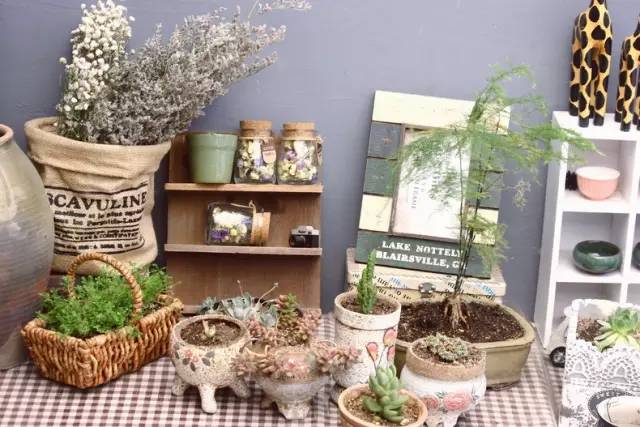 梦想改造家小户型,农村庭院改造效果图大全