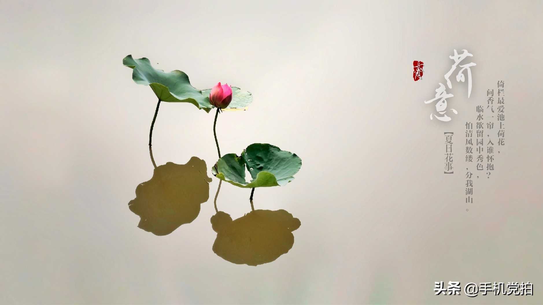 给照片加复古小印章,用美图制作印章