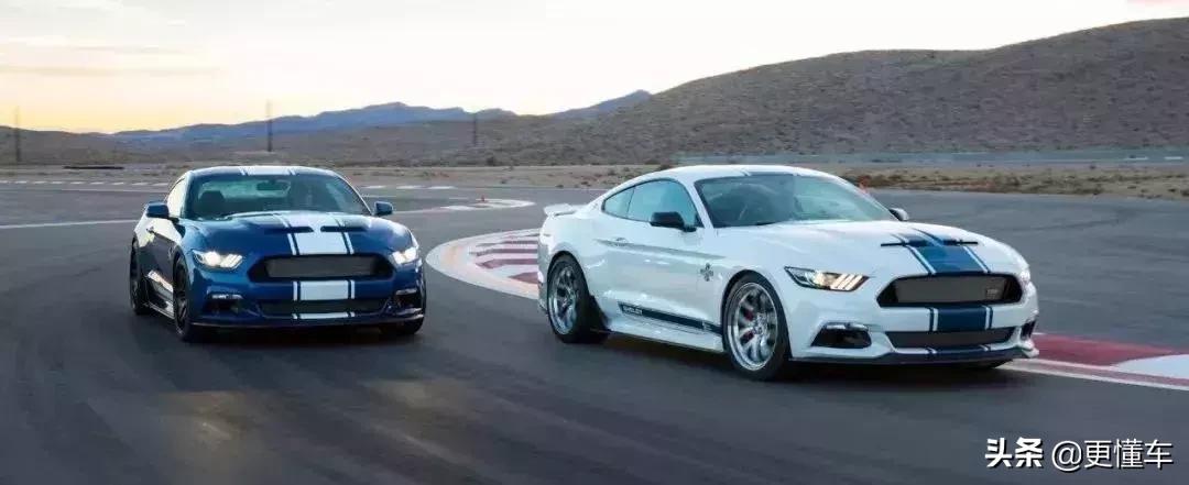 这些车都是价值几百万的顶级豪车,被大多数人误以为是豪车的平价车