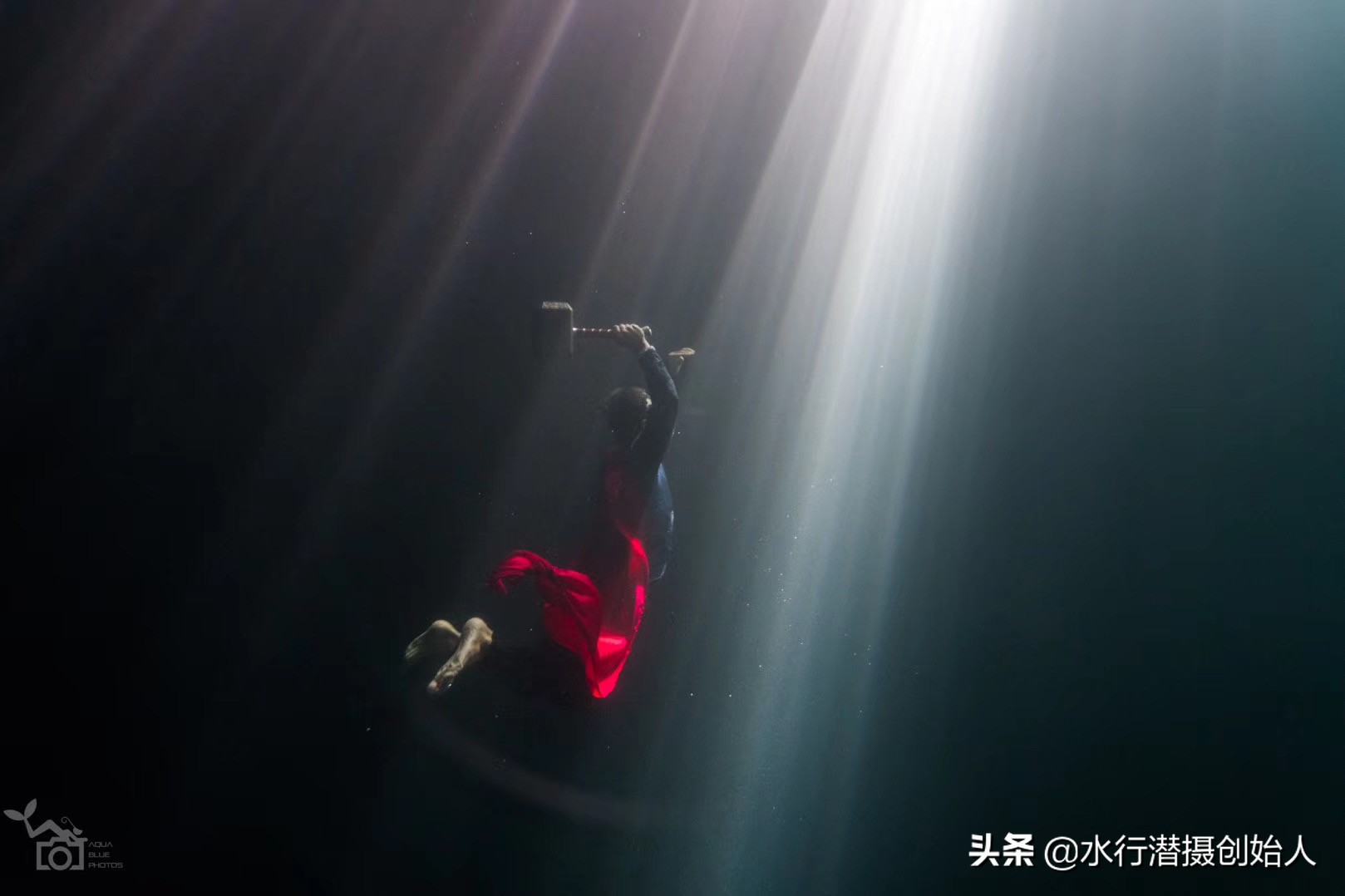 帕劳岛自由行潜水,帕劳水母湖自由潜视频