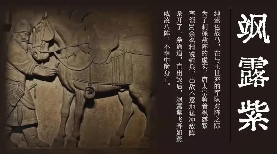 脑洞大开方言购物,脑洞大开的车有哪几种