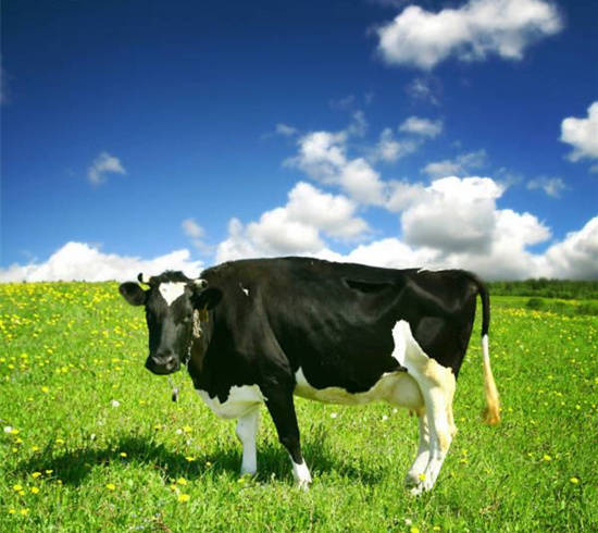 法国进口婴儿奶粉哪个品牌好,法国奶粉品牌排行榜前十名