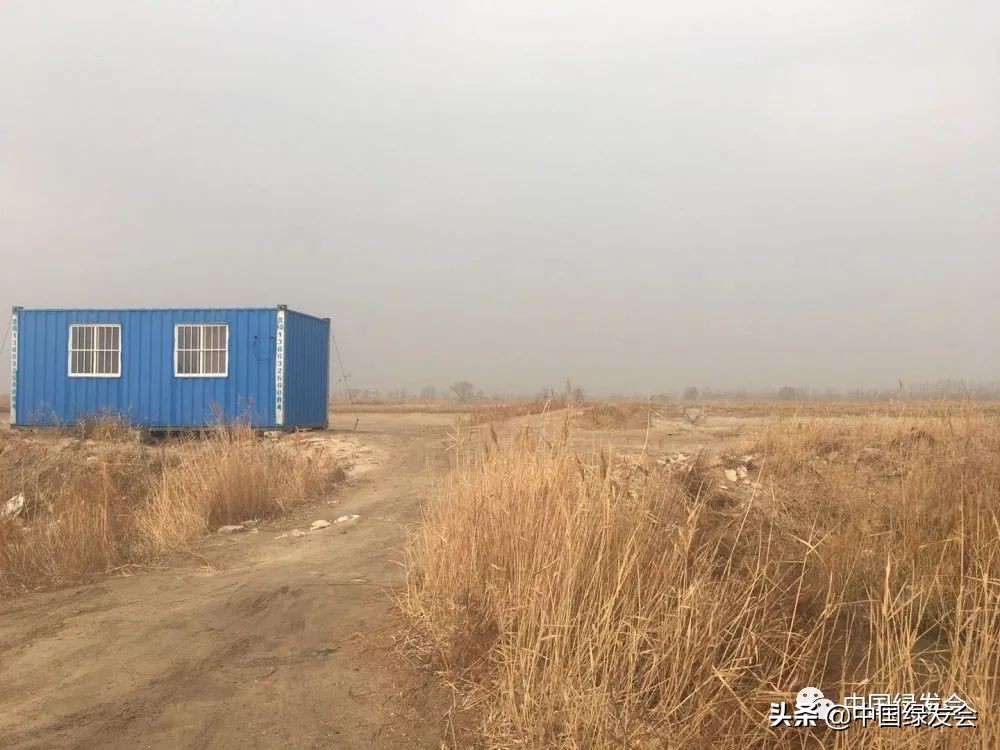 被拆湿地公园,曹妃甸湿地保护区在哪里