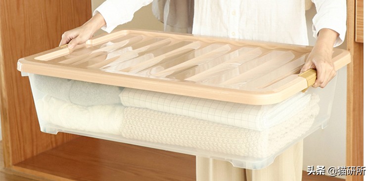 猫咪平替好物推荐,提高猫咪生活质量的几款好物