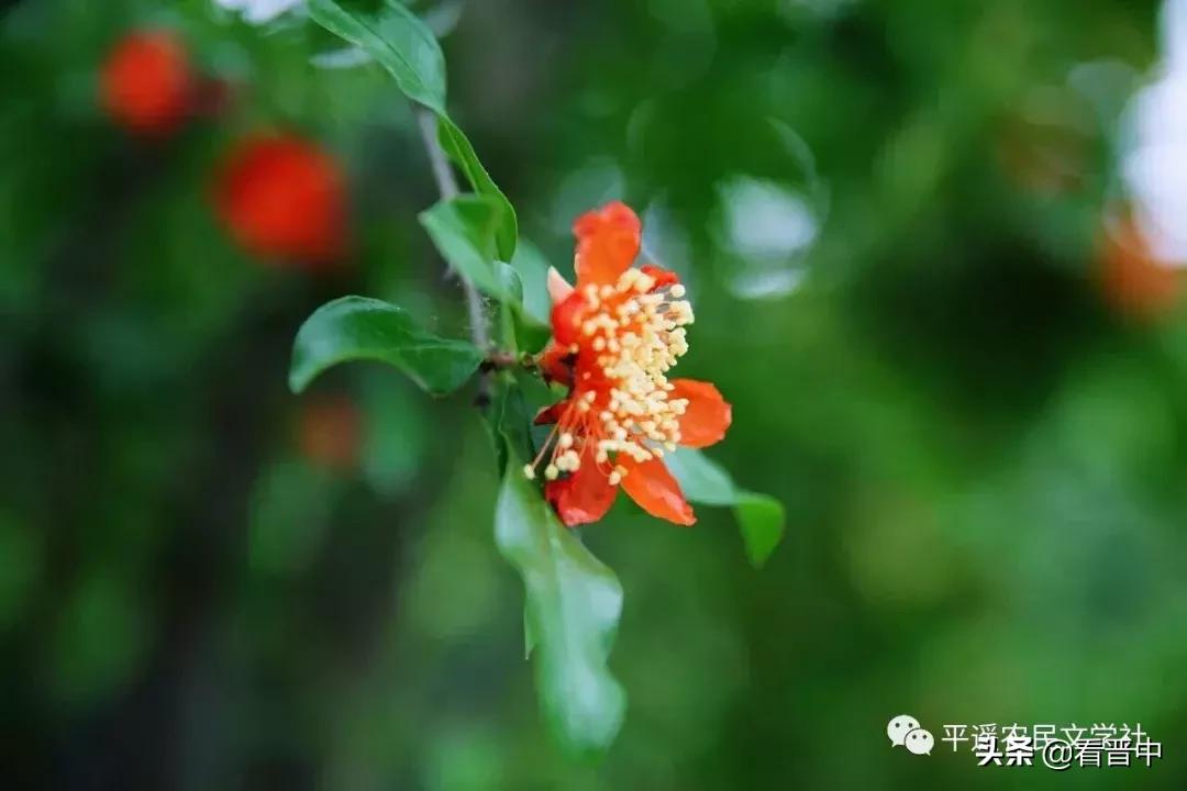 晋中婚宴,晋中旅行图文日记