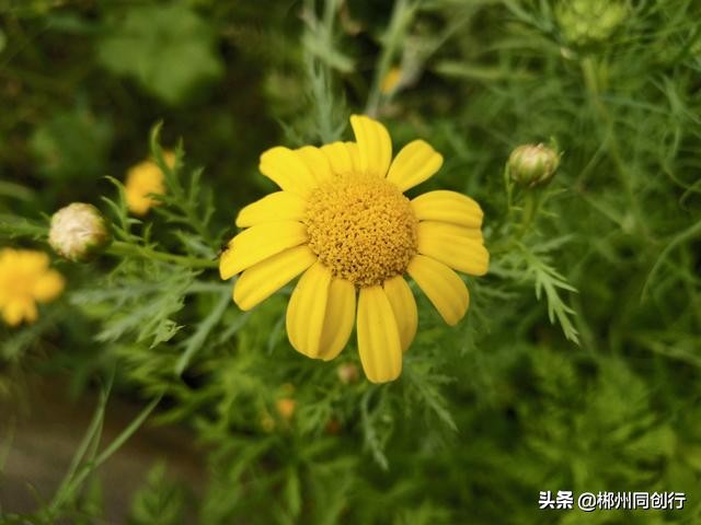 郴州的房子哪个位置的好一点,到郴州买房生活怎么样