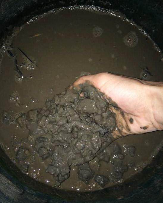 盆里养了碗莲,为啥一直不开花?这样养护,80天开出小荷花