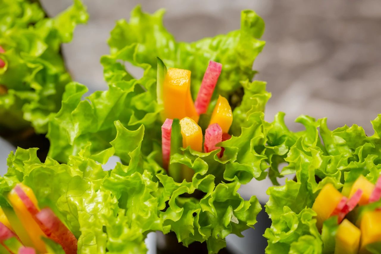 港丽餐厅招牌菜上海,港丽餐厅经典4人餐