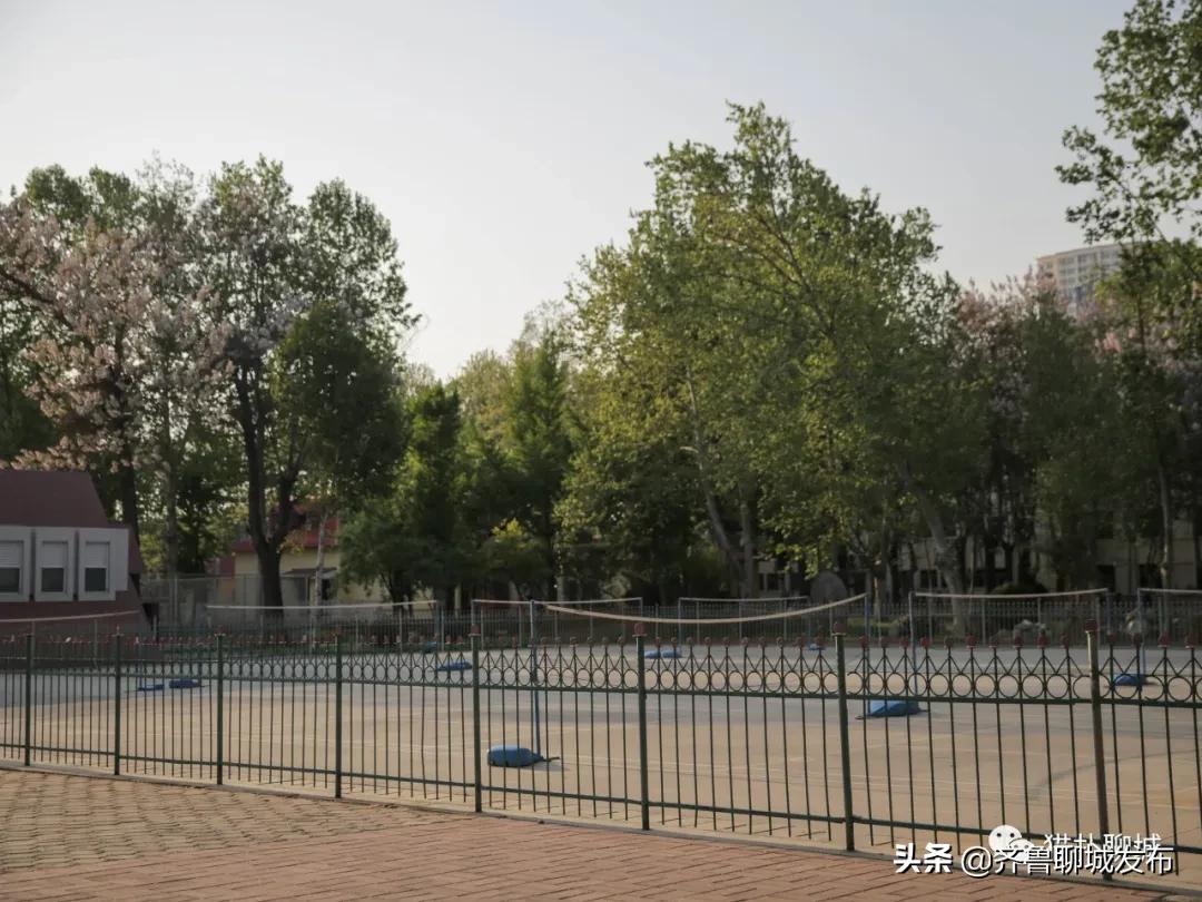 五个月未见面的聊城大学，现在你怎么样了？