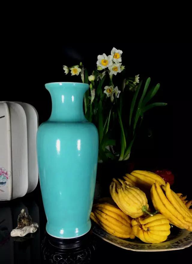 佛手只长叶不开花,佛手只有一种果子