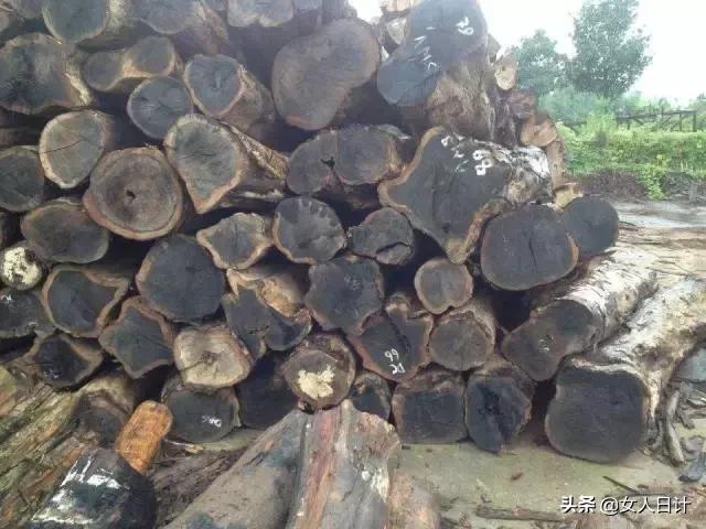 “非洲酸枝”“南美酸枝”——傍名的红木家具