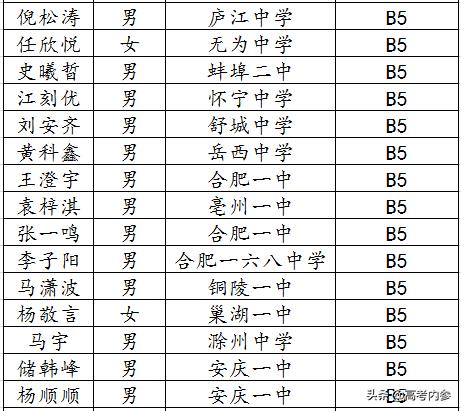 深度揭秘19年北京大学博雅计划安徽入选数据：两所高中遥遥领先