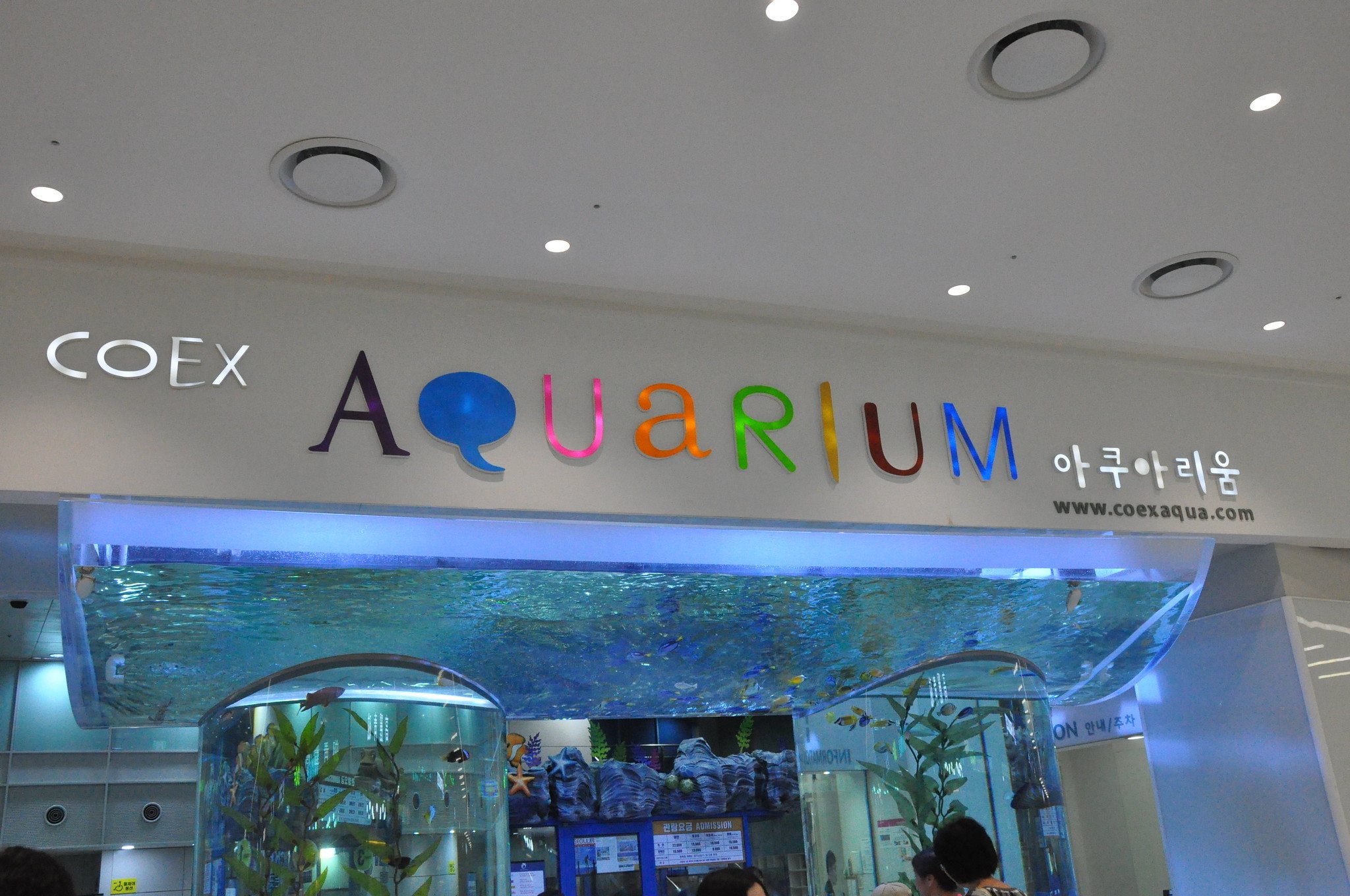 去韩国需要买交通卡么 (去韩国旅游买什么公交卡最好)