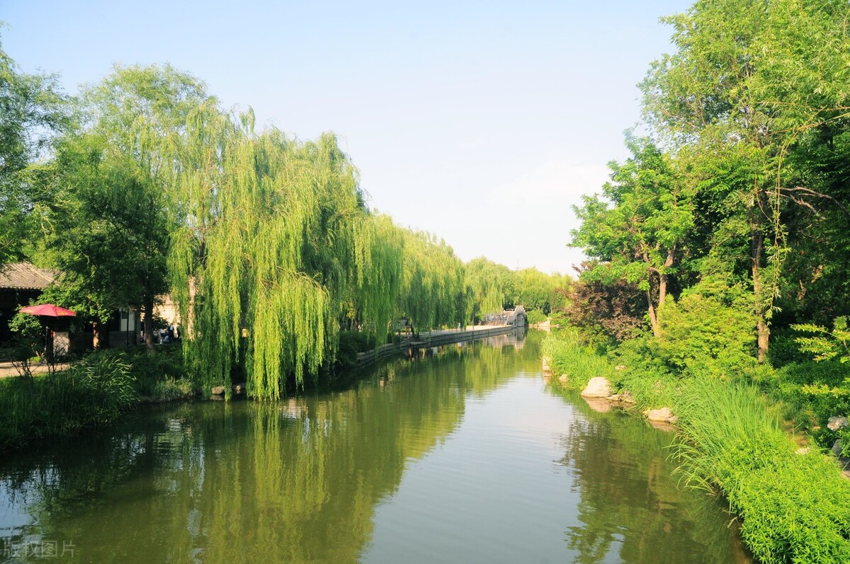 王世亮本人,王世亮莱阳