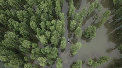 适合看星空露营的地方 (高山露营地绝美的星空)