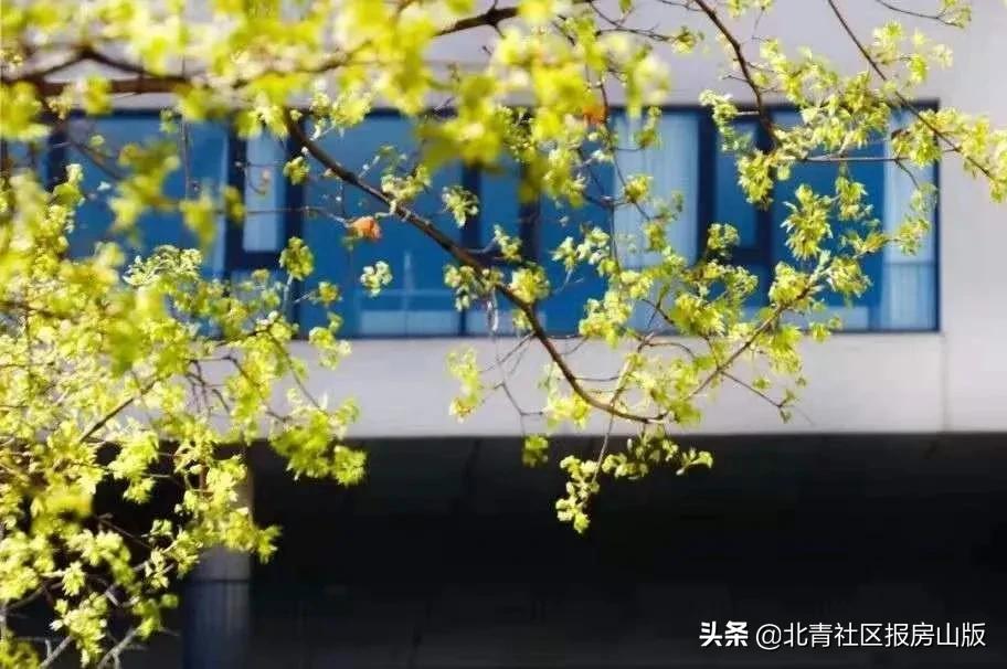 房山的学校和城区的学校差距在哪,房山长阳有什么好的学校