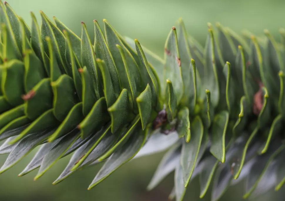 奥林巴斯e-m1markiii相机售价曝光,奥林巴斯新发布om-de-m10mark