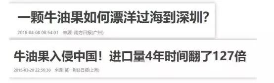 牛油果不爱吃怎么办,牛油果为什么很多人不敢吃