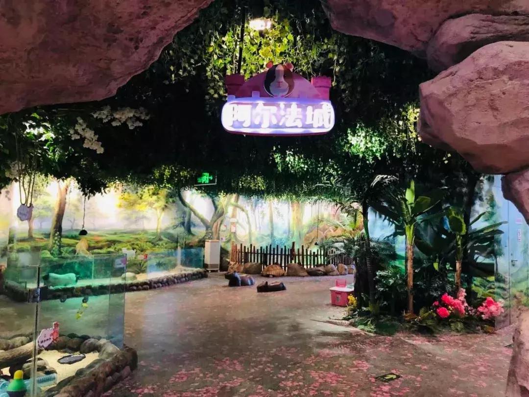 郑州奥林匹克公园萌宠乐园,郑州萌宠乐园长什么样子