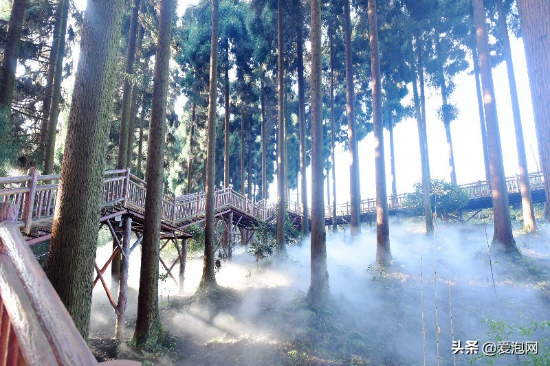 四川温泉最好的地方推荐,四川最好的温泉是哪个景点