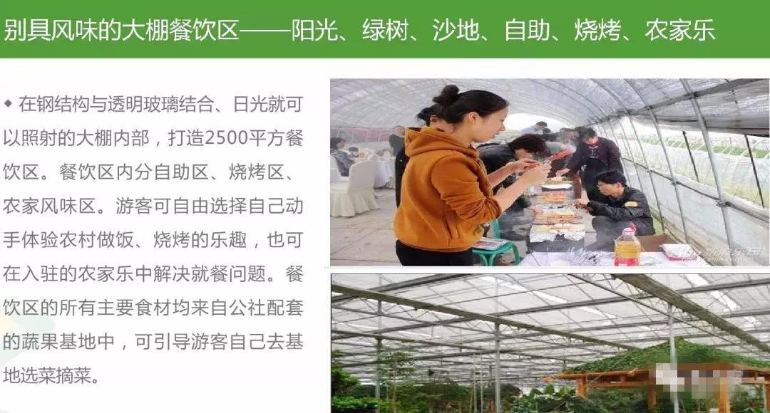 田园综合体类项目策划,田园综合体项目推介书ppt