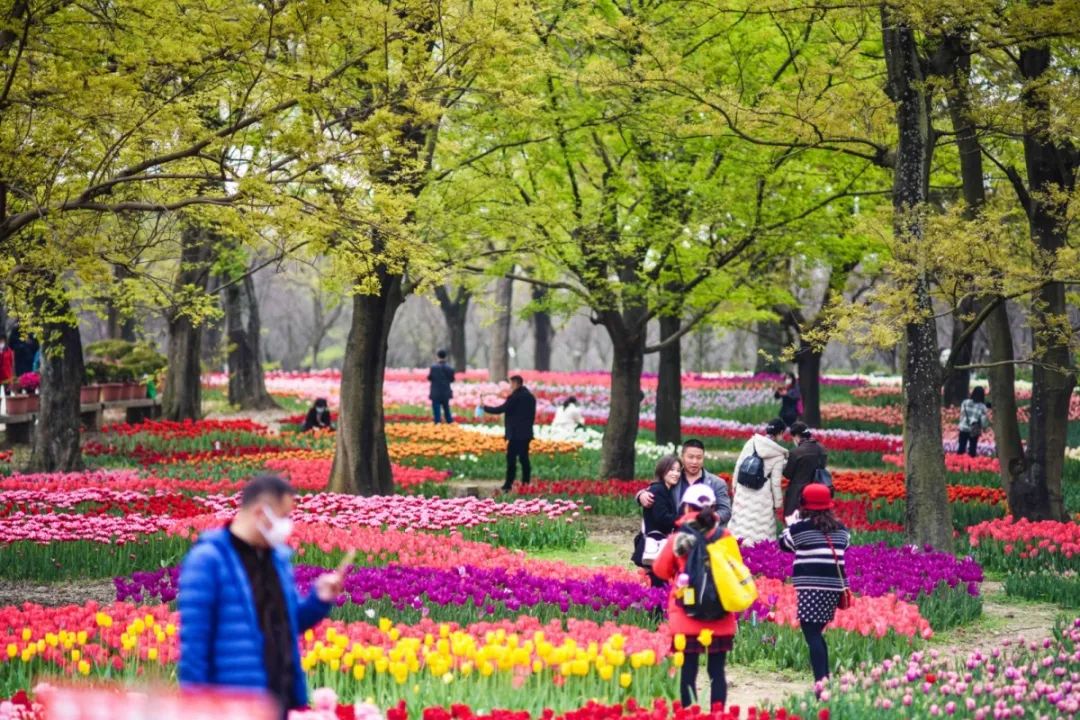 成都市秀丽东方,成都秀丽东方还在开放吗