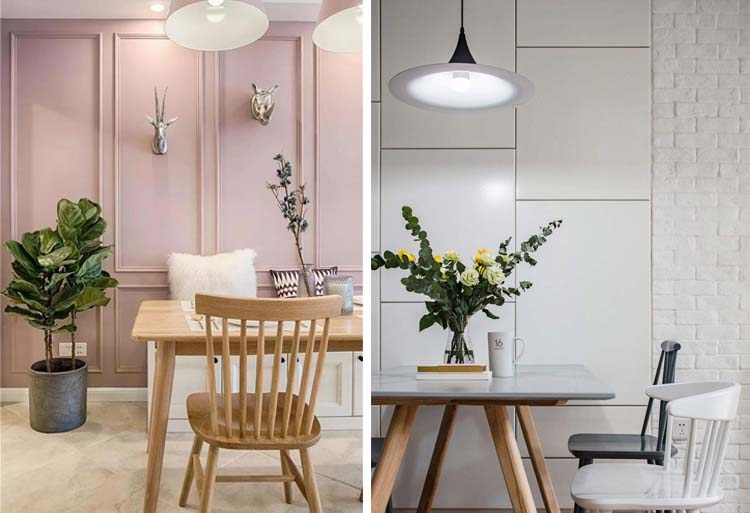 ins风装饰花,ins风装修搭配的绿植