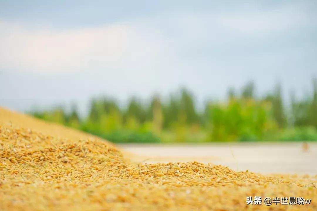 母亲的忌日文案,母亲的忌日有什么诗词