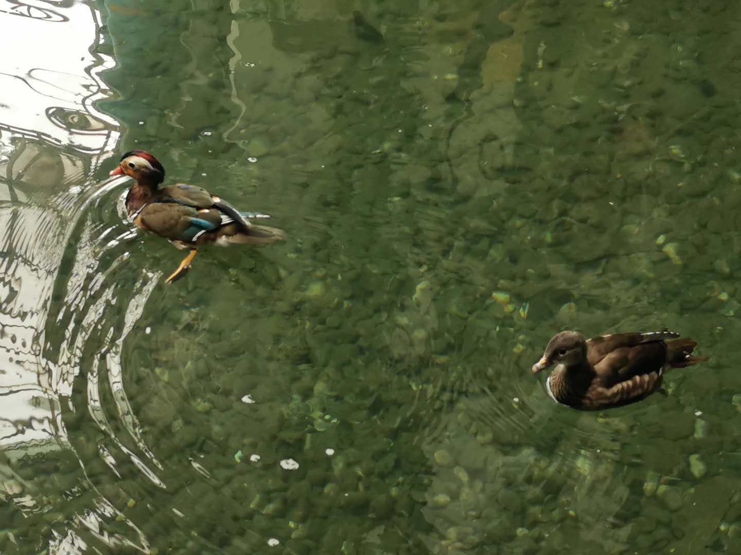 空中花园带儿童乐园,空中花园超大游乐街区